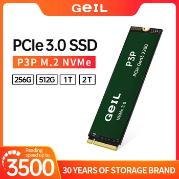 GeIL Solid State Disk P3P M2 256GB SSD van 512 gb 1T 2t Interne Solid State Drive M. 2 NVME 1.4 PCIe 3.0 Gen3 2280 M2 Voor een Laptop, PC