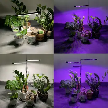 LED Licht Groeien voor kamerplanten Rood Blauw 4000K Volledige Spectrum van de Plant Groeit Lamp met Timmer heeft voor Hydrocultuur Bloem Zaailing Kruid